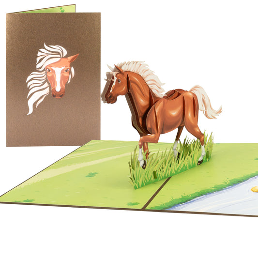 Pferd Pop-Up Karte (neu)