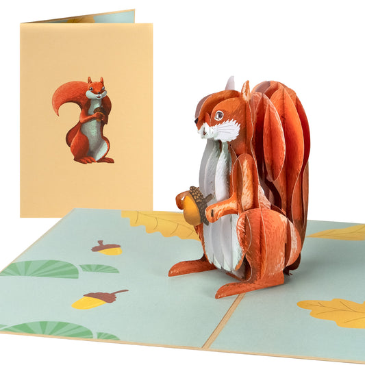Eichhörnchen Pop-Up Karte