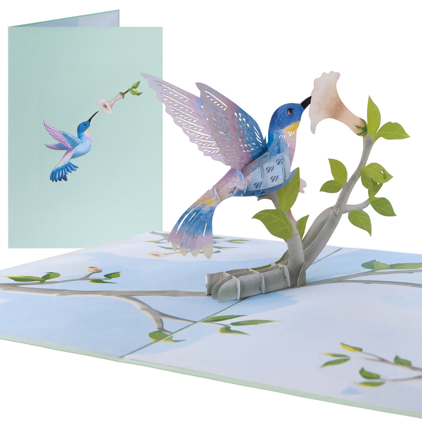 Kolibri Vogel Pop-Up Karte