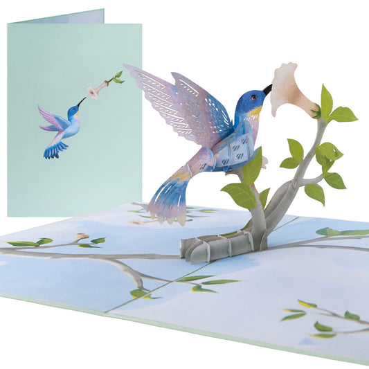 Kolibri Vogel Pop-Up Karte