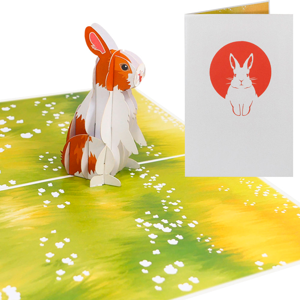 Hase Pop-Up Karte